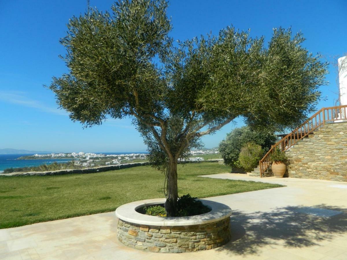 Grace Villa Tinos Exterior foto